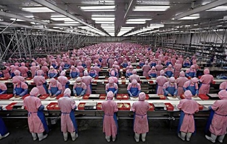 Vì ế ẩm, nhà máy Foxconn dừng sản xuất iPhone 5C - 1 Một nhà máy Foxconn sẽ ngừng sản xuất điện thoại iPhone 5C.