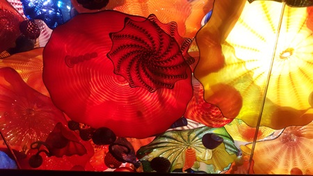 Thăm vườn thuỷ tinh Chihuly độc nhất vô nhị trên đất Mỹ - 4 Normal