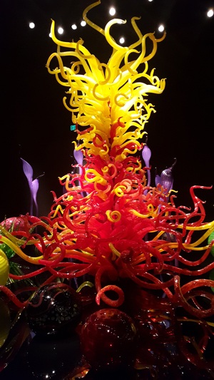 Thăm vườn thuỷ tinh Chihuly độc nhất vô nhị trên đất Mỹ - 7 Các khung hình tại triển lãm đều gần gũi và thân thuộc với mọi nŧười.