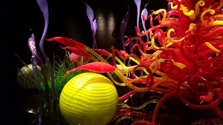 Thăm vườn thuỷ tinh Chihuly độc nhất vô nhị trên đất Mỹ - 10 Sự tương phản giữa nhiều màu sắc tạo nên tính độc đáo của các khung hình.