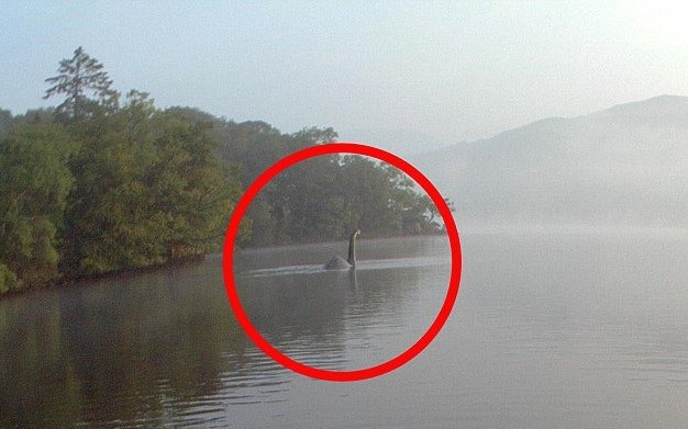 Thực hư bức ảnh chụp “quái vật” hồ Loch Ness bơi tới Anh - 1 Bức ảnh của cô Ellie. (Nguồn: Rex)