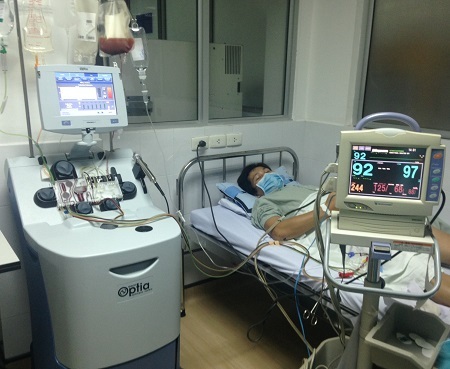 Với nguồn tủy cho là của bố bé Đức Anh.