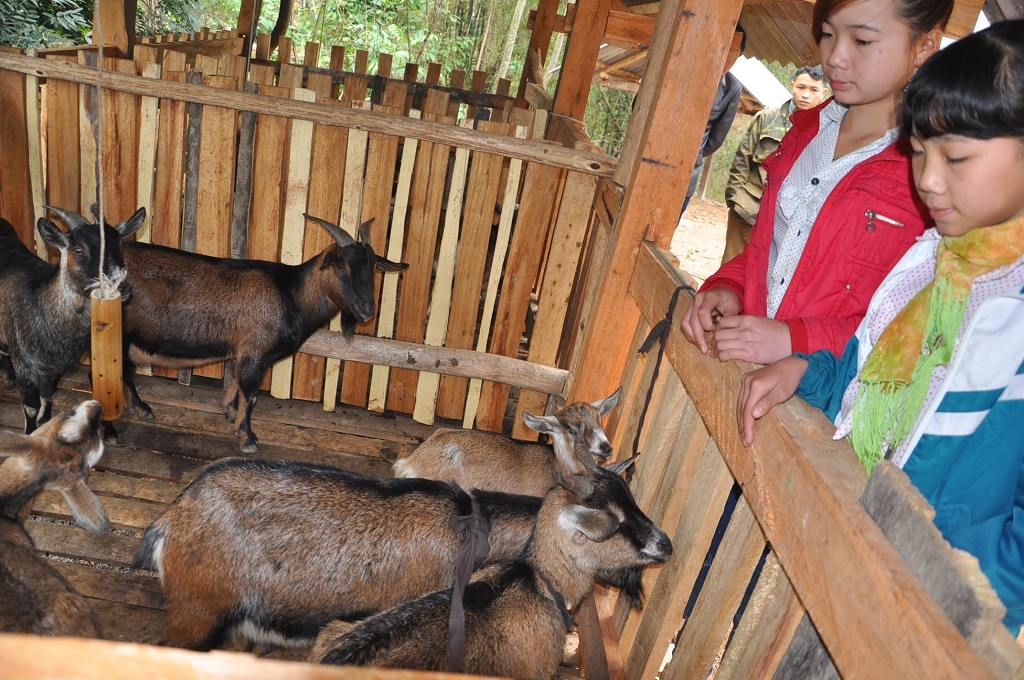 Được bạn đọc Dân trí giúp đỡ, bốn bố con đã có cái Tết no đủ.