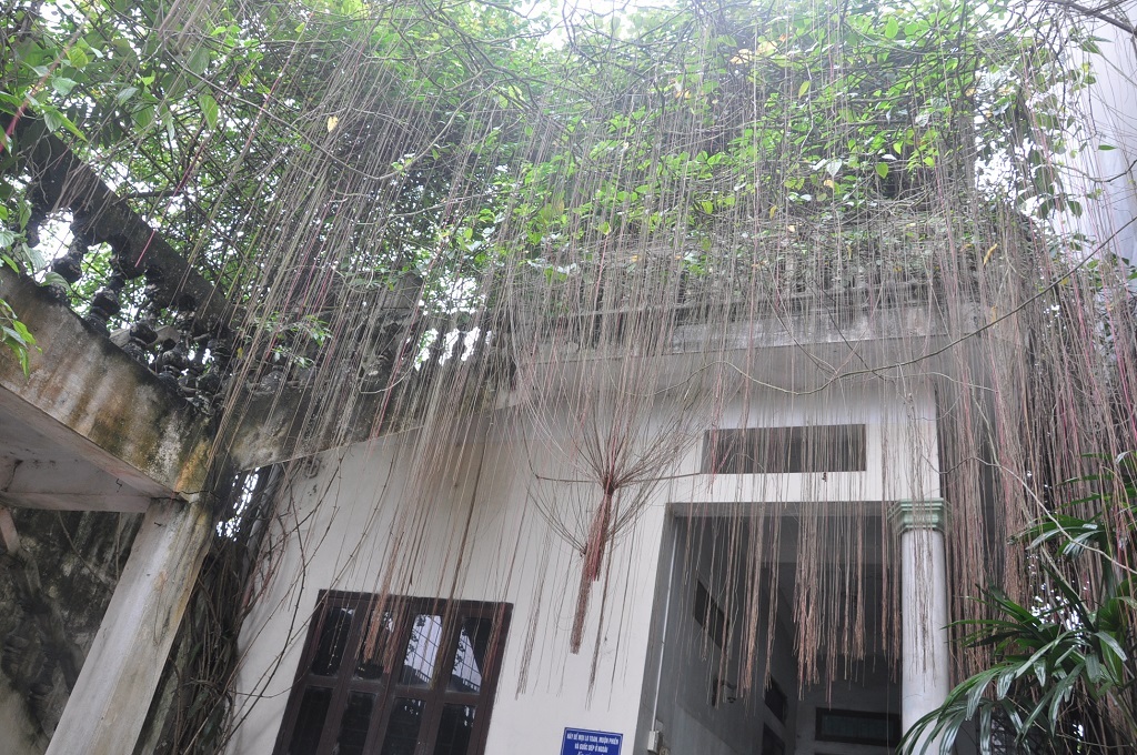 Ngôi nhà của nghệ sĩ dù cũ kĩ với những rêu bám nhưng đầy bóng mát.