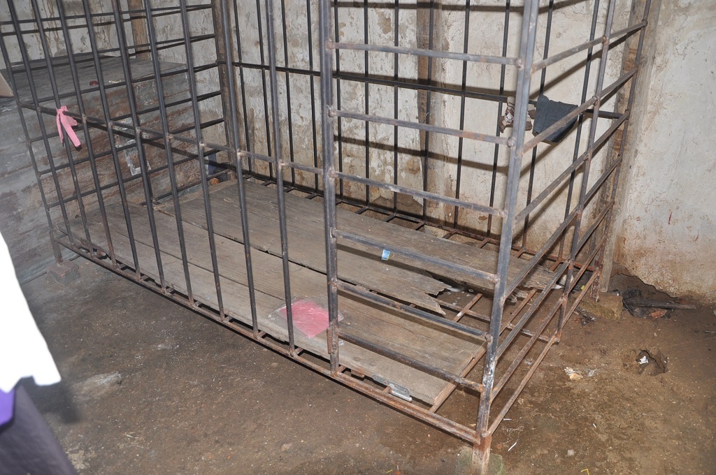 Chiếc lồng sắt giờ đã bỏ không, chị Huệ được ra ngoài.