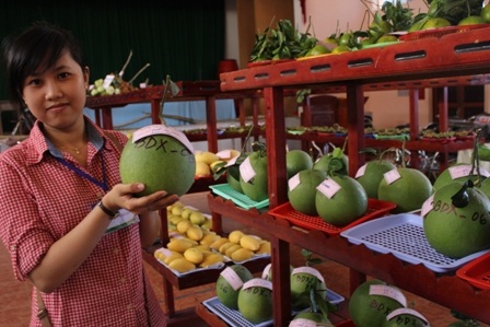 Các sản phẩm trái cây đặc sản được trưng bày tại lễ hội