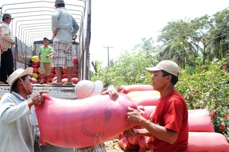 Cước phí vận chuyển tăng cũng đè giá nông sản