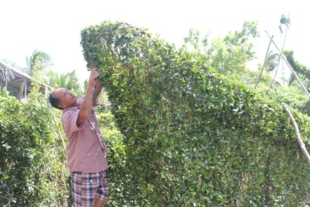 Nghệ nhân Năm Công đang tạo dáng cho phần mũi tàu