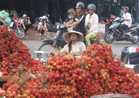 Chôm chôm cũng tràn ngập ngoài lề đường