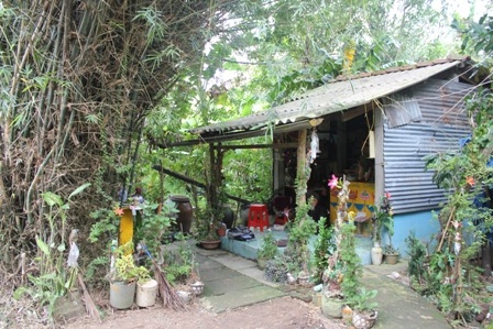 Dị nhân có mái tóc dài sống 1 mình trong ngôi nhà nhỏ