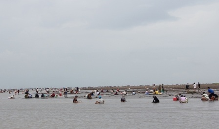 Hàng ngàn người tham gia cướp nghêu sáng 22/7