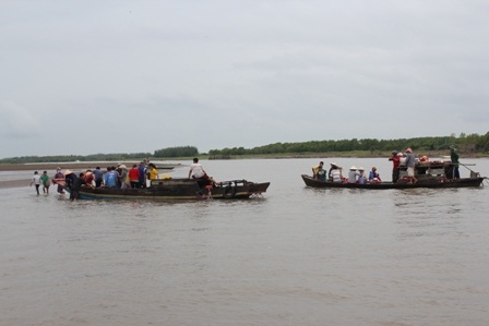 Những chiếc ghe tấp nập đưa người sang bãi nghêu