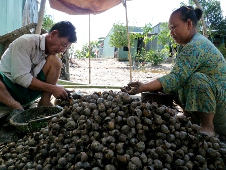 Lể Obv lấy thịt bán cho thương lái