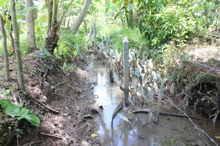 Phần đất nửa con mương gia đình bà Bé Năm tranh chấp với gia đình cán bộ xã