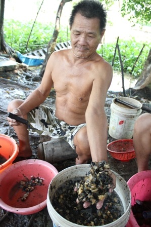 Thịt ốc bán với giá 11 ngàn đồng/kg