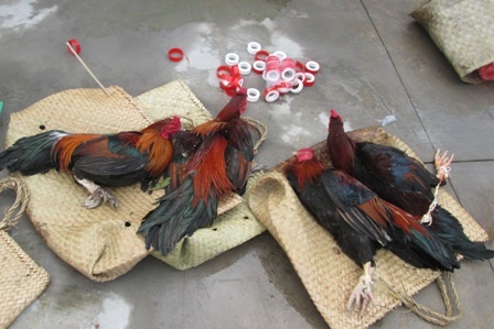 Tang vật cơ quan chức năng thu giữ