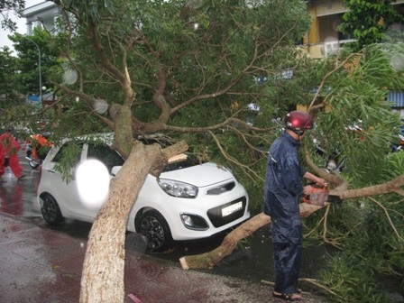 Cơ quan chức năng cưa cây để giải cứu chiếc xe