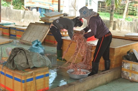 Thu giữ gần 2 tấn nội tạng bốc mùi