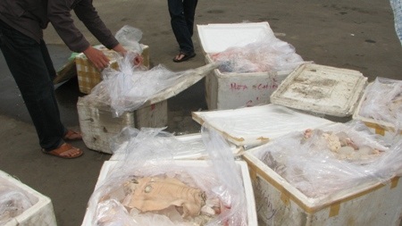 Bắt giữ xe khách chở hơn 300 kg thịt bò “bẩn” - 1