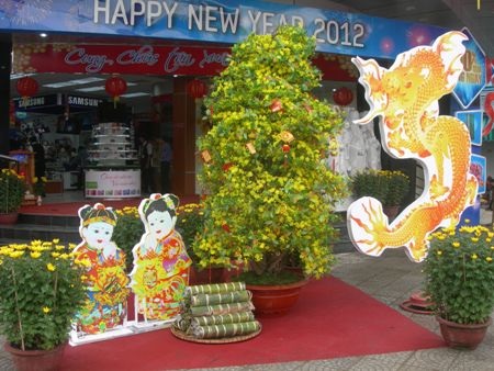 Hoa xuân phong cách Sài Gòn giữa thành Vinh  - 9