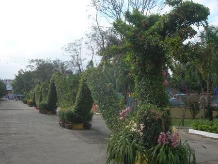 Ngắm ba con rồng "khủng" tại hội hoa xuân - 1