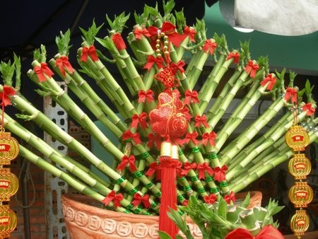 Những tác phẩm từ cây phát lộc - 3