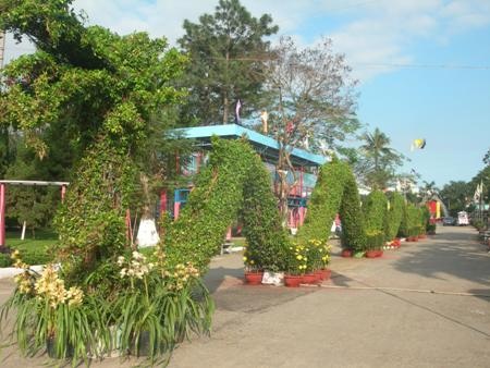 Ngắm ba con rồng "khủng" tại hội hoa xuân - 2