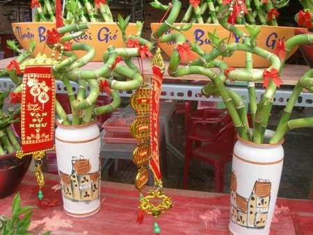 Những tác phẩm từ cây phát lộc - 5