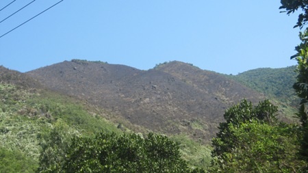 1.100 người với 12 giờ vật lộn cùng đám cháy trên đèo Hải Vân 