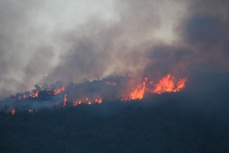 1.100 người với 12 giờ vật lộn cùng đám cháy trên đèo Hải Vân 