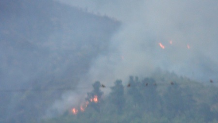 Hàng chục ha rừng bốc cháy trong nắng nóng