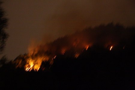 Cháy rừng do sét đánh - 2 Cháy rừng do sét đánh