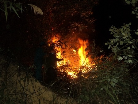 Cháy rừng do sét đánh