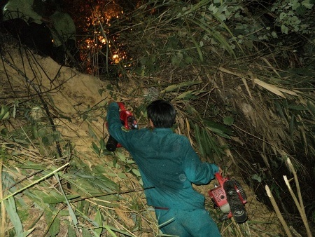 Cháy rừng do sét đánh