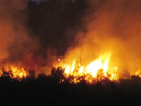 Thủ phạm gây cháy rừng Nam Hải Vân là đạn lân tinh