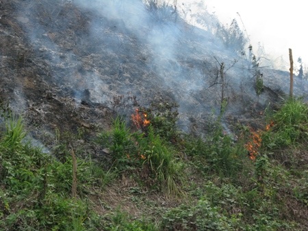 Nguyên nhân là do người dân đốt thực bì