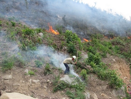 Một vụ cháy rừng xảy ra ngày 8/8 trên địa bàn TP Đà Nẵng