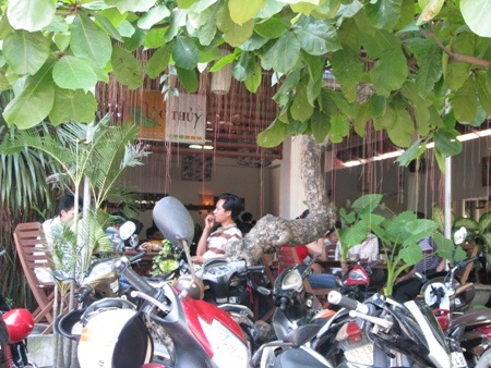 Các quán cà phê đông nghịt khách