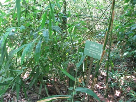 Diễn đá Hà Giang