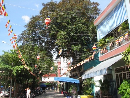 Cổng của chùa Pháp Lâm được trang trí đèn và cờ