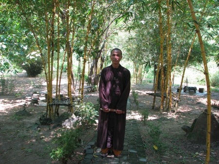 Thầy Thích Thế Tường đam mê các loài tre trúc Việt Nam 