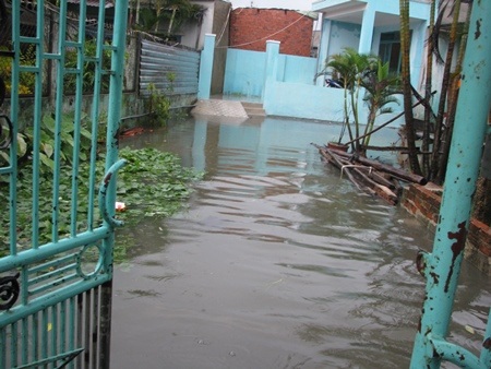 Viết Hảo - Đại Dương - Khánh Hồng