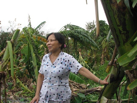 Bà Liên trong trang trại hơn 1.000m2 của mình 