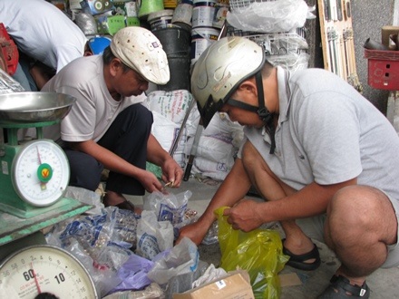 Chọn mua đinh, ốc vít để đóng lại mái tôn