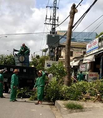 Bắt đầu chống bão - 4 Công nhân cây xanh đã bắt đầu cắt tỉa cây xanh để hạn chế thiệt hại khi bão đổ vào