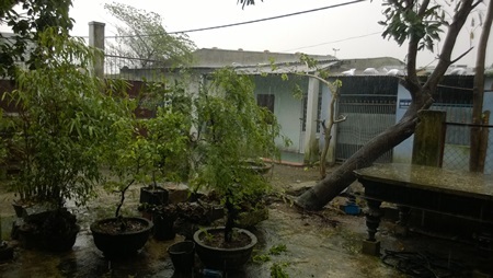 Đà Nẵng nổi gió, mưa to từ 4h sáng - 3 Khoảng 4 giờ sáng ngày 10/11, trời bắt đầu nổi gió, kèm mưa to.