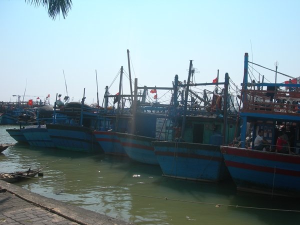 Tàu thuyền neo đậu tránh bão (Ảnh: Khánh Hồng)