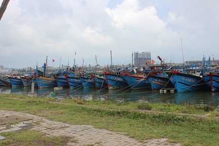 Tàu thuyền của ngư dân miền Trung đang neo đậu 