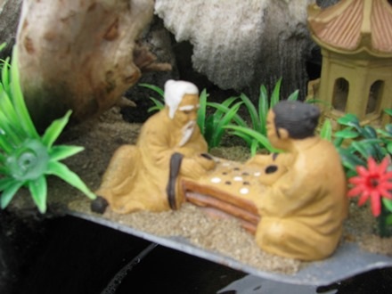 Hai ông tiên ngồi đánh cờ