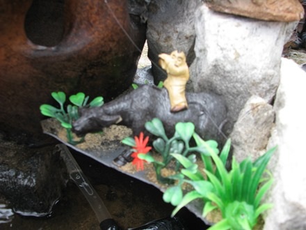 Cậu bé chăn trâu thổi sáo